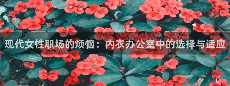 58动漫免费下载